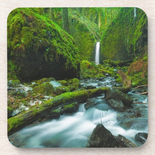 Waterval | Herfsten van Grotto, Oregon Bier Onderzetter (Voorkant)