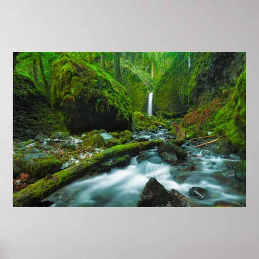 Waterval | Herfsten van Grotto, Oregon Poster (Voorkant)