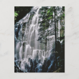 Waterval in bos, Oregon Briefkaart
