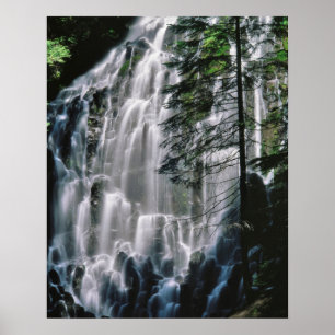 Waterval in bos, Oregon Poster