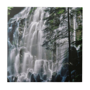 Waterval in bos, Oregon Tegeltje