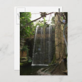 Waterval in de dierentuin briefkaart (Voorkant / Achterkant)