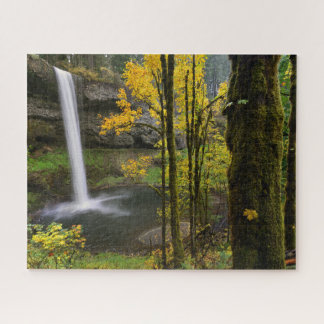 Waterval in de herfst van het Silver Herfsten Stat Legpuzzel