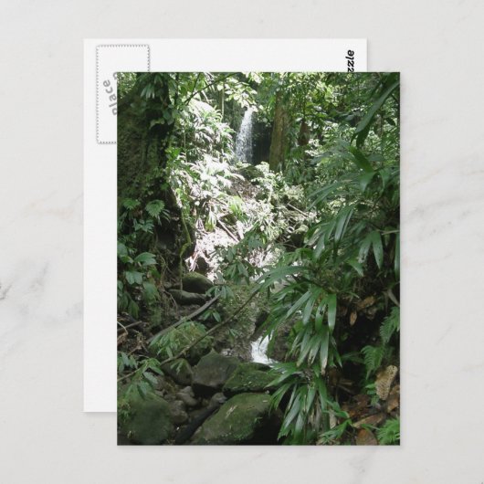 Waterval in Dominica Briefkaart (Voorkant / Achterkant)