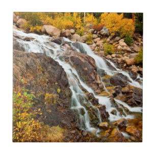 Waterval in Grand Teton National Park Tegeltje