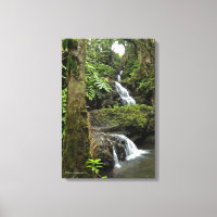 "WATERVAL IN HAWAIAANSE TROPISCHE TUIN"