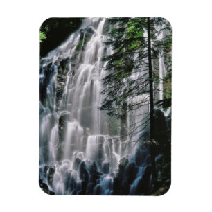 Waterval in het bos, Oregon Magneet