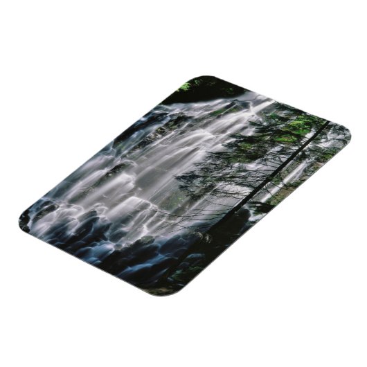 Waterval in het bos, Oregon Magneet (Linkerzijde)