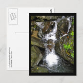 Waterval in het Nationaal Rainwoud El Yunque Briefkaart (Voorkant / Achterkant)