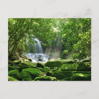 Waterval in het regenwoud briefkaart