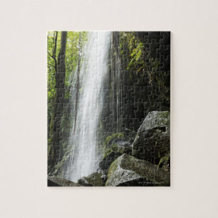 Waterval in het regenwoud Dominica, Emerald Pool Legpuzzel