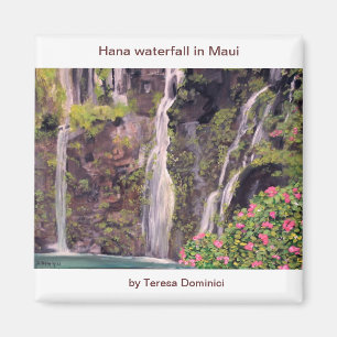 Waterval in Maui, Hawaii Magneet