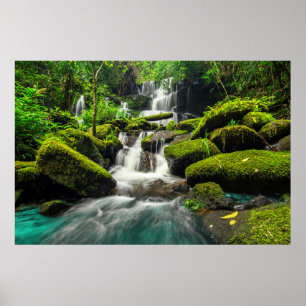 Waterval in Oerwoud   Phu Tub Berk Mountain Poster