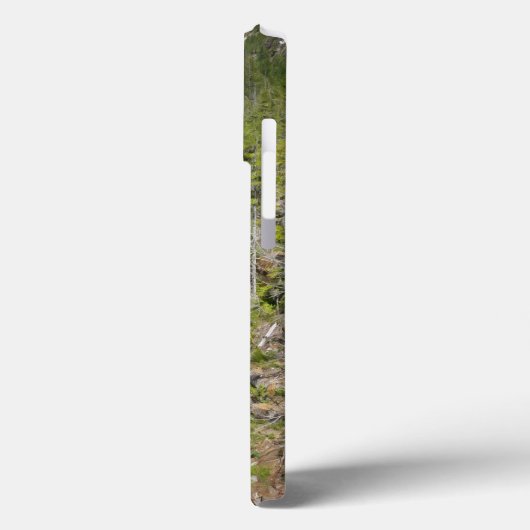 Waterval in Olympisch Nationaal Bos Case-Mate iPhone Case (Achterkant / Links)