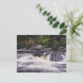 Waterval, Kancamagus Highway, White Briefkaart (Staand voorkant)