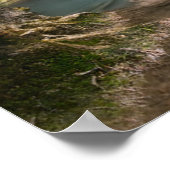 Waterval | Kanchanaburi, Thailand Poster (Hoek)