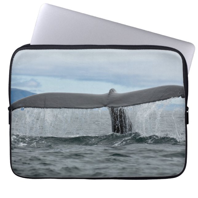 Waterval Laptop Sleeve (Voorkant)