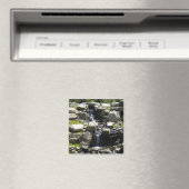 Waterval Magneet (Insitu (Vaatwasser))