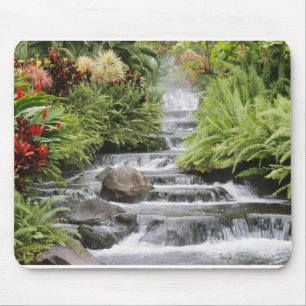 Waterval Muismat