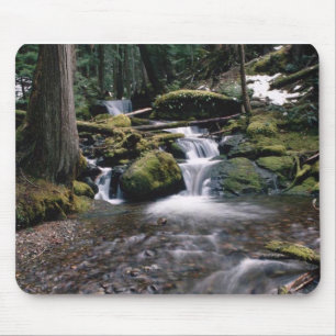 Waterval Muismat