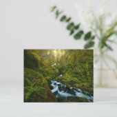 Waterval | Nationaal park van de Olympische Spelen Briefkaart (Staand voorkant)
