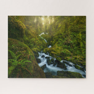 Waterval Nationaal park van de Olympische Spelen Legpuzzel