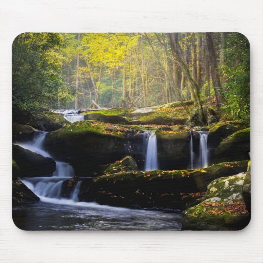 Waterval | Nationaal park van het Grote Smoky Moun Muismat (Voorkant)