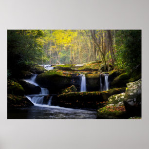 Waterval   Nationaal park van het Grote Smoky Moun Poster