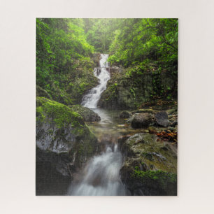 Waterval Nationaal park van het Phayao-gebergte Legpuzzel
