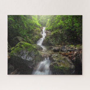 Waterval Nationaal park van het Phayao-gebergte Legpuzzel