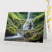 Waterval Natuur Buitenlandschap Rustig Rustig Kaart (Gele Bloem)