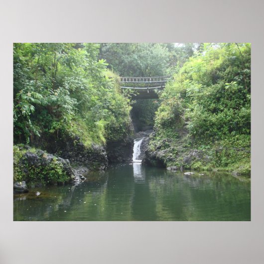 Waterval onder Bridge Poster (Voorkant)