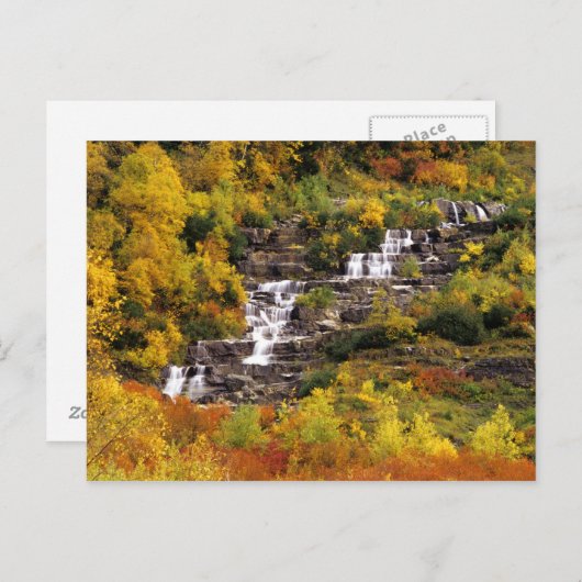 Waterval onder Mt Cannon in Glacier National Briefkaart (Voorkant / Achterkant)