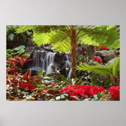 Waterval Poster (Voorkant)