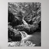 Waterval Poster (Voorkant)
