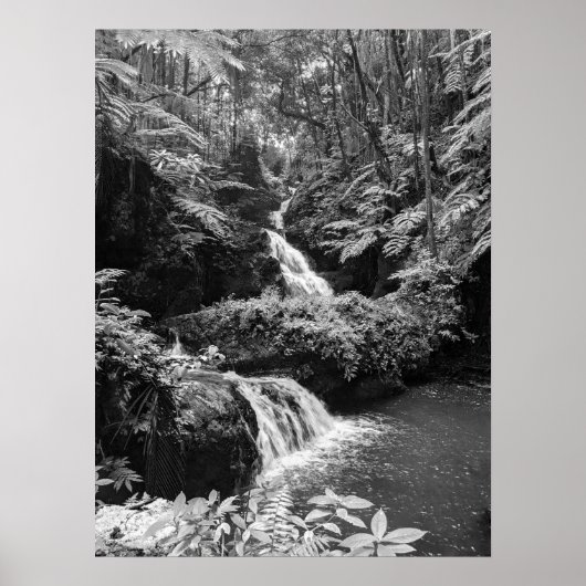 Waterval Poster (Voorkant)