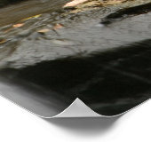 Waterval Poster (Hoek)