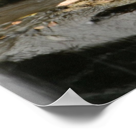 Waterval Poster (Hoek)