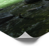 Waterval Poster (Hoek)