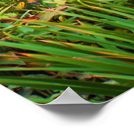 Waterval Poster (Hoek)