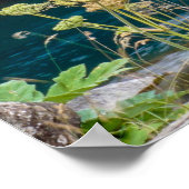 Waterval Poster (Hoek)