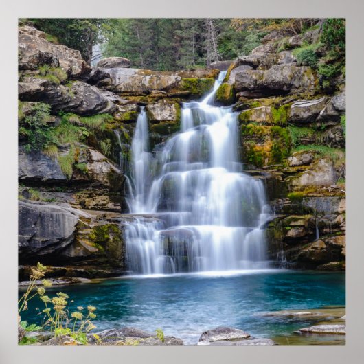 Waterval Poster (Voorkant)