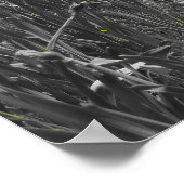 Waterval Poster (Hoek)