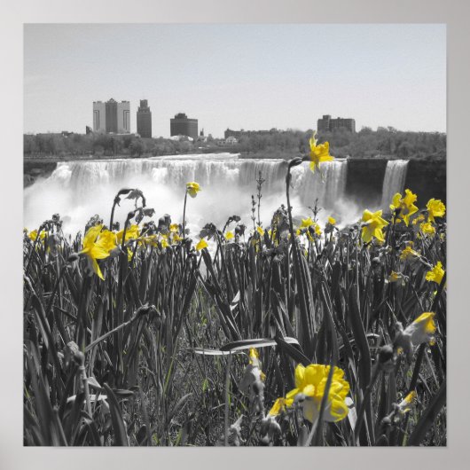 Waterval Poster (Voorkant)