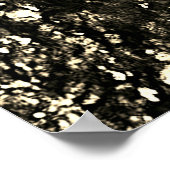 Waterval Poster (Hoek)