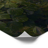 Waterval | Rainbow-Herfsten, Hilo, Hawaii Poster (Hoek)