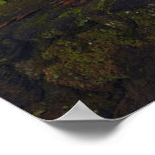 Waterval | Rainbow-Herfsten, Hilo, Hawaii Poster (Hoek)