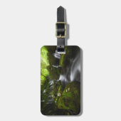 Waterval | Satoyama Kisakata Waterval Bagagelabel (Voorkant verticaal)