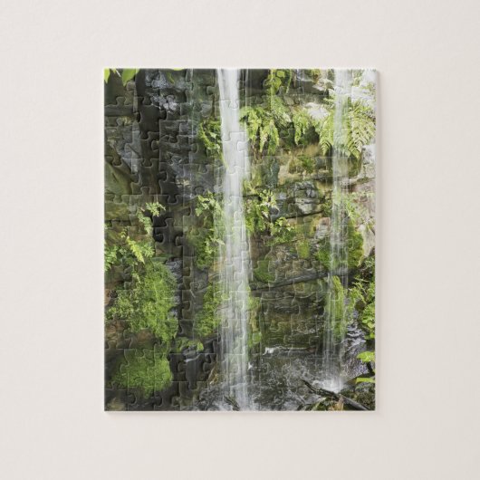 Waterval, Temperate regenwoud, Nieuw-Zeeland. Legpuzzel (Verticaal)