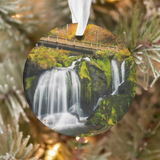 Waterval | Triberg Waterfall, Duitsland Ornament (Boom)